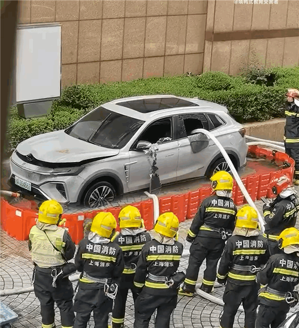 飞凡MARVEL R路边起火 消防员建水池把车泡水里灭火