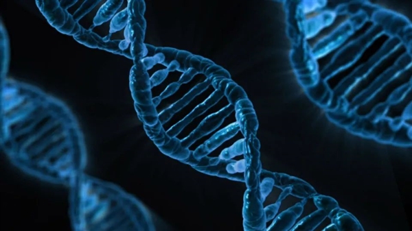 这种每年感染5000万人的寄生虫：科学已经知道它对人体做了什么